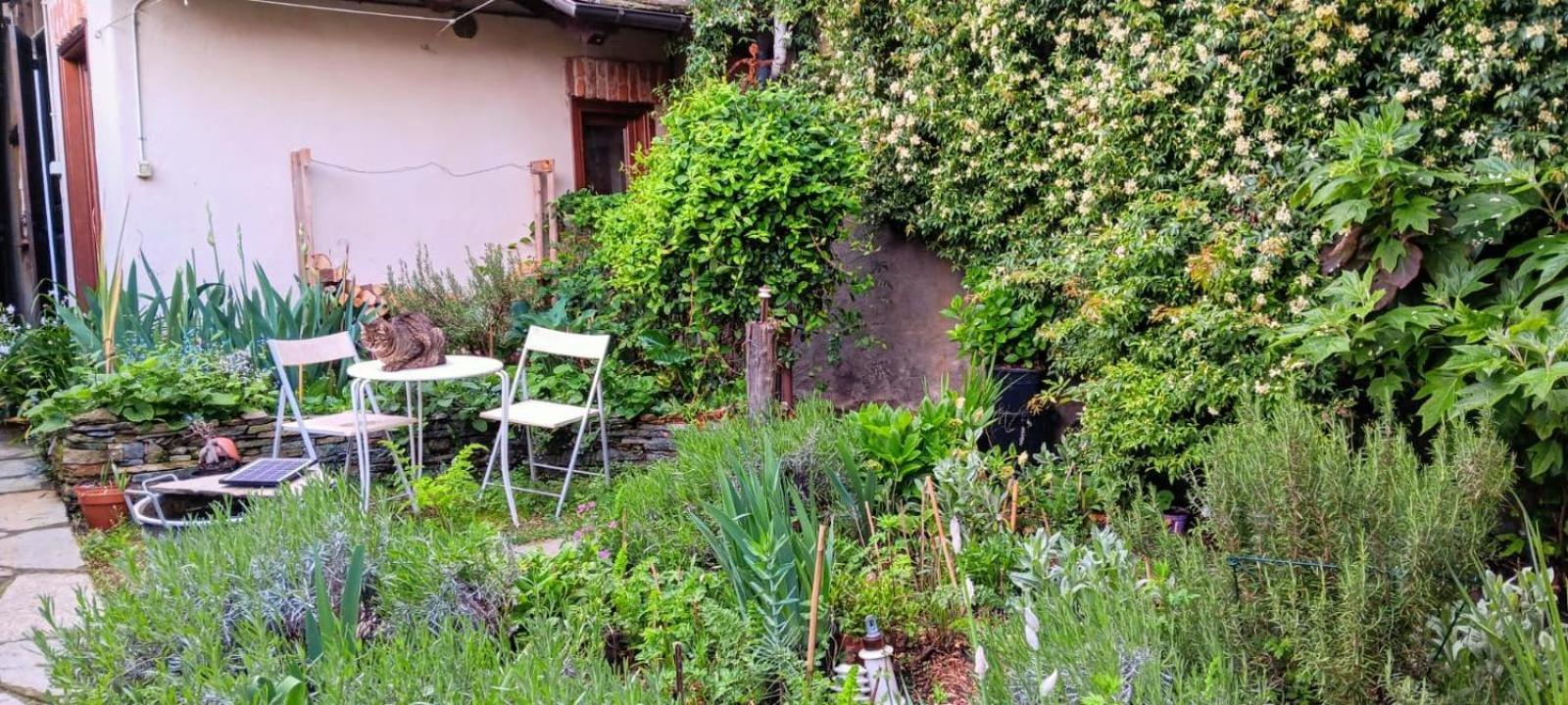 Hotel La Marmotta Luserna San Giovanni Exterior foto